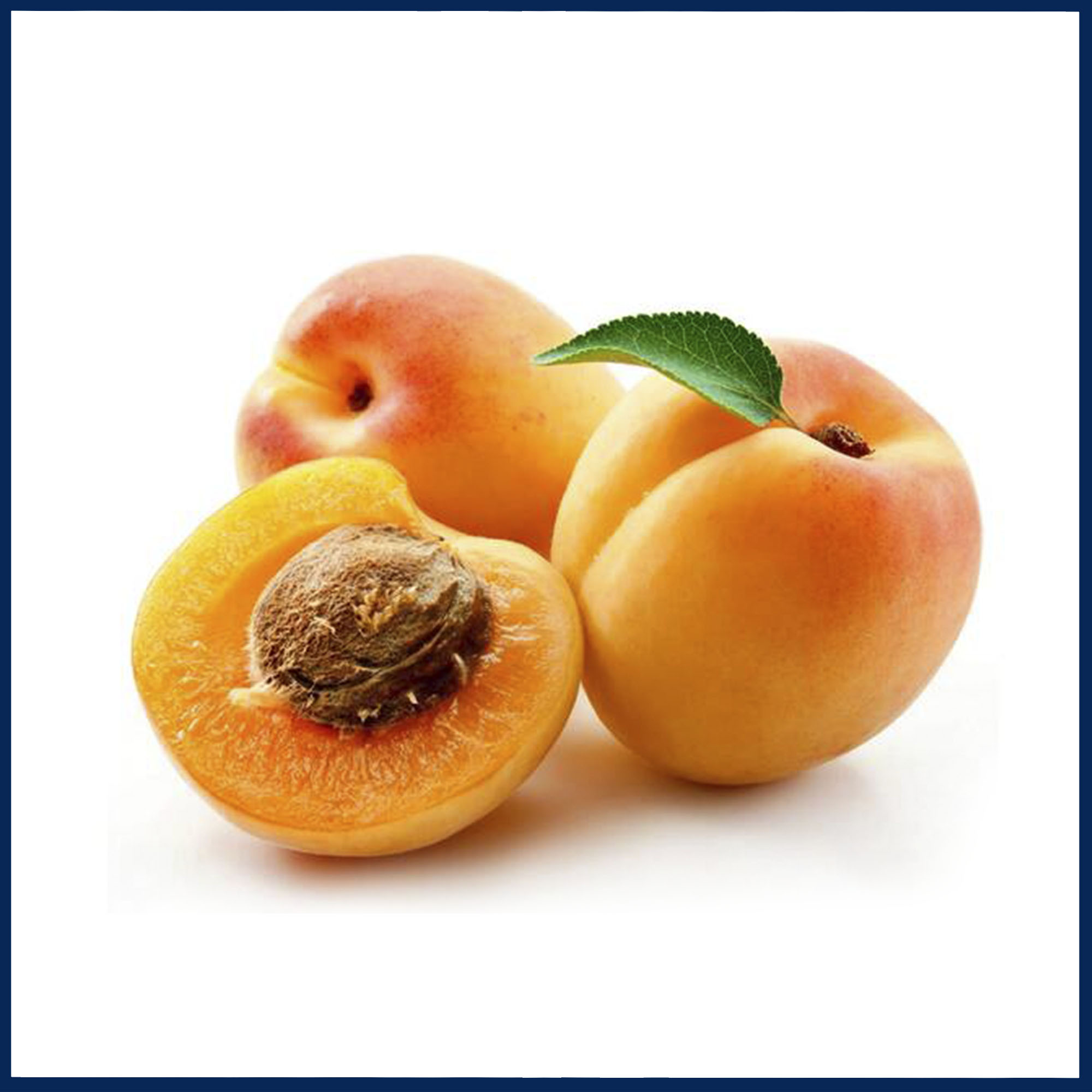 Uzbek Orange Apricot